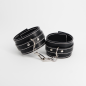 Reddition Onyx - Origine Reddition Onyx - Origine