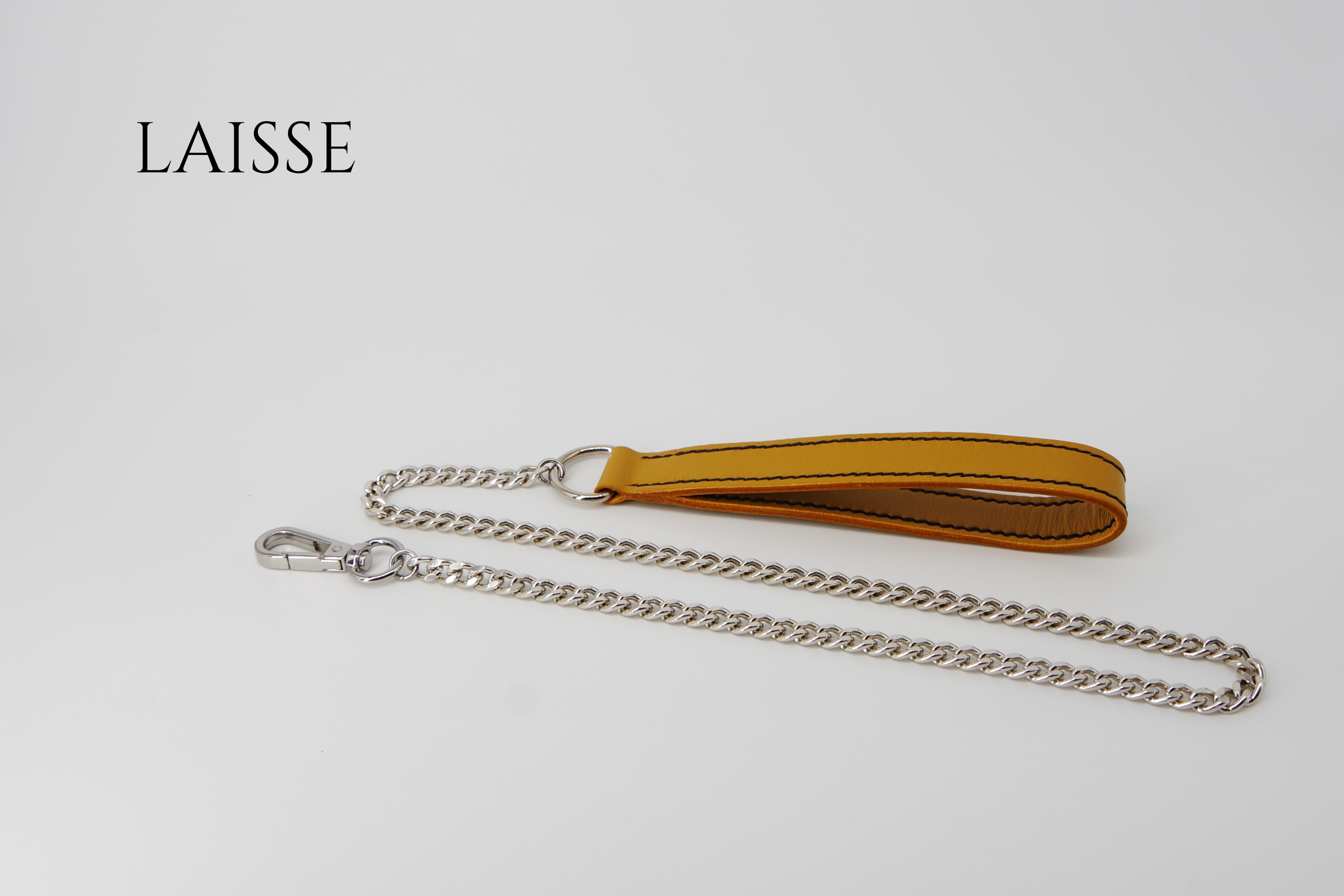 Laisse